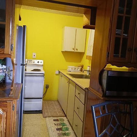 Chelsea Manor Apartment Kingston Ngoại thất bức ảnh