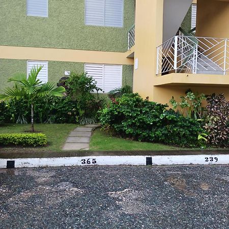 Chelsea Manor Apartment Kingston Ngoại thất bức ảnh